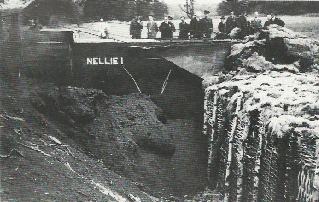 Nellie-16