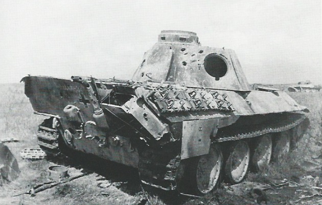 PantherD-30