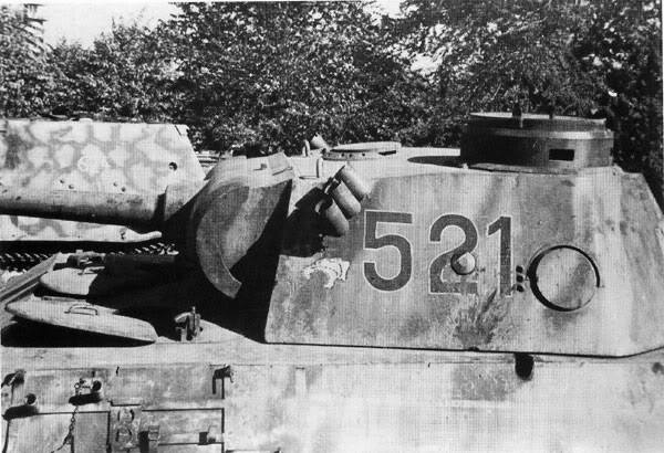 PantherD-39
