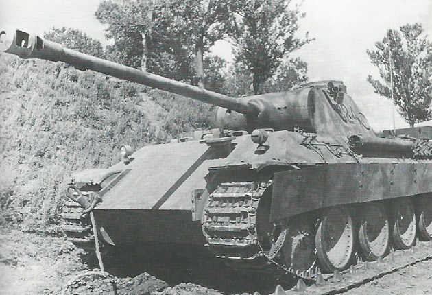 PantherD-49